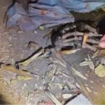 1764369693 maxresdefault