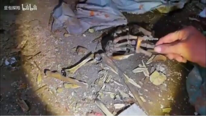 1764369693 maxresdefault