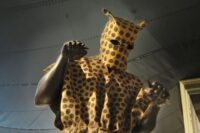 1 XB0gpQqKTaNbTqT68Wb7Qg@2x