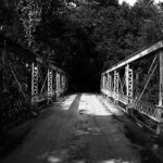 20090921054635 fudge w