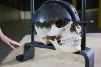 3f5dd1094f9bc6003230354913db94a4