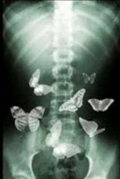 40273 425168939689 43399 n