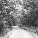 7a422b30c5aab28f359417ef0d80c419