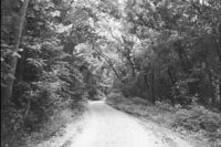 7a422b30c5aab28f359417ef0d80c419