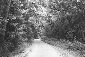 7a422b30c5aab28f359417ef0d80c419