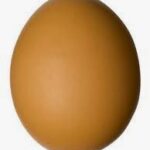 An egg