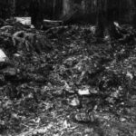 Babes crime scene 640x486 1