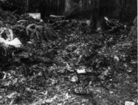 Babes crime scene 640x486 1