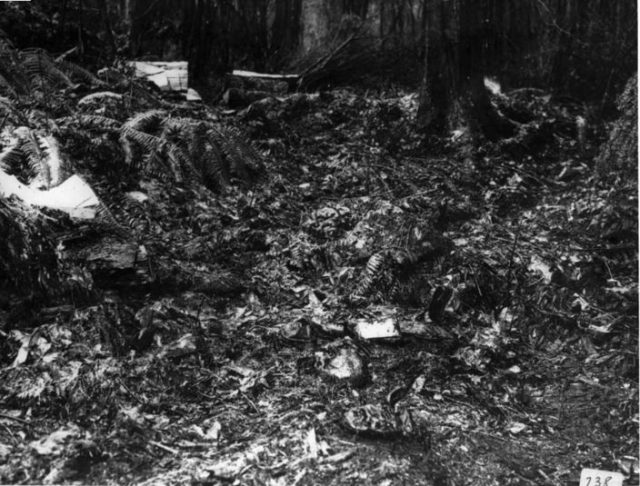 Babes crime scene 640x486 1