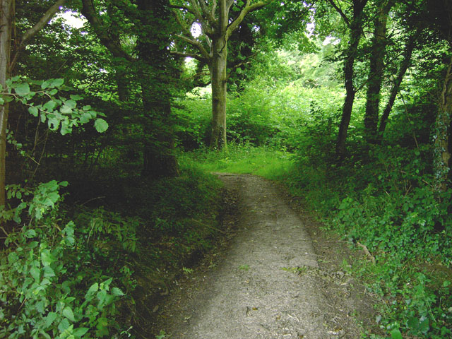 Footpath in Clapham Wood   geograph.org .uk   870296