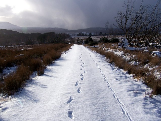 Further up the track   geograph.org .uk   1151038
