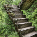 Shutterstock 1193942347