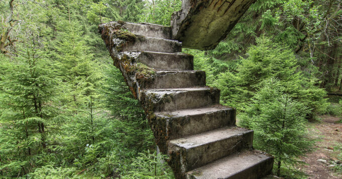 Shutterstock 1193942347