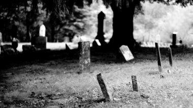 graveyard