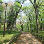 inokashira park street view