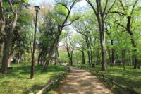 inokashira park street view