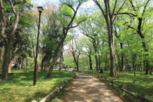 inokashira park street view
