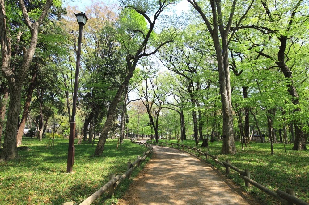 inokashira park street view