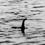 nessie
