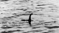 nessie