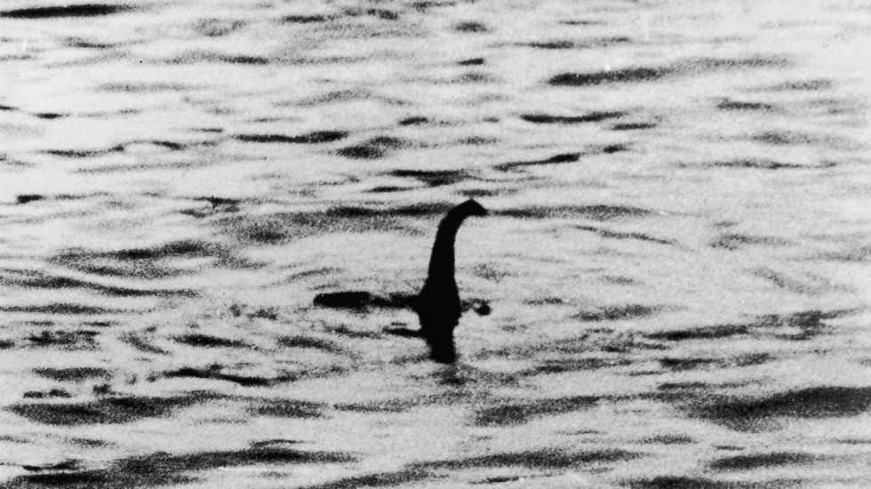 nessie