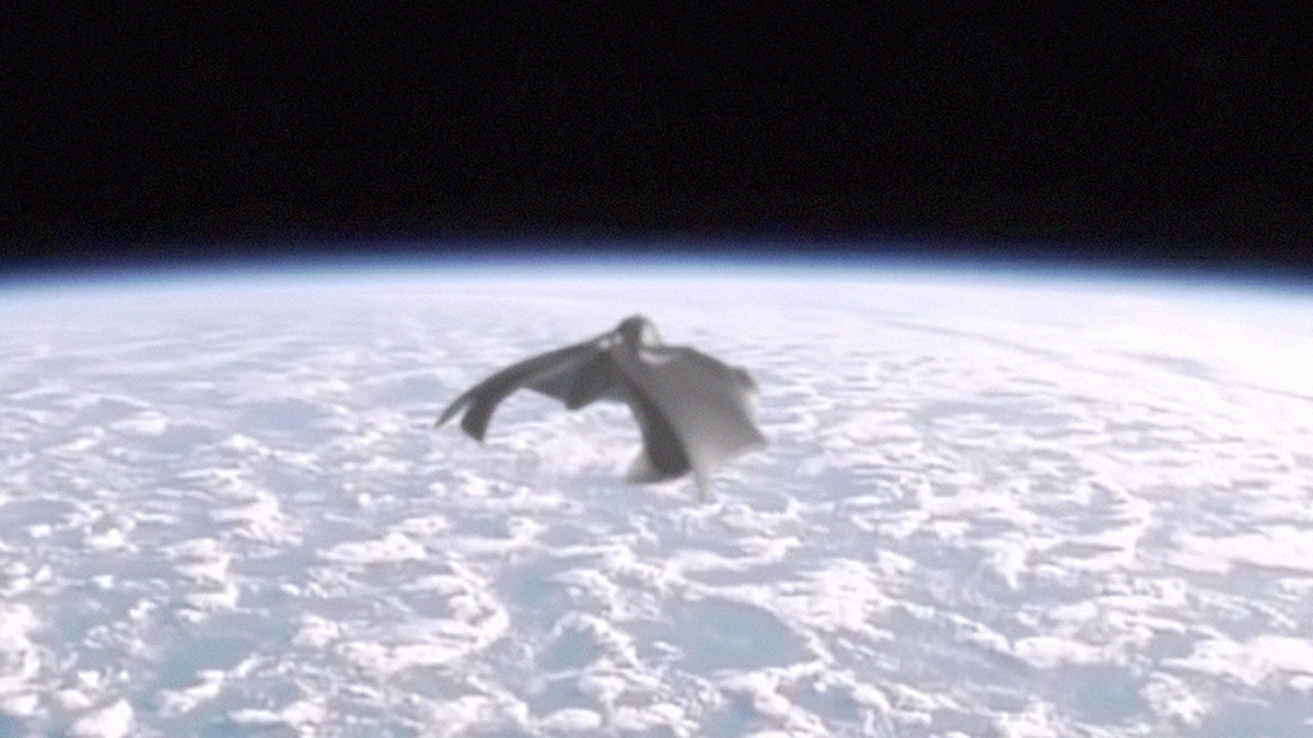 ob 9f42d5 film333 v1 1280x720 1