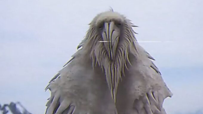 opium bird 936457182