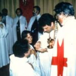 order of the solar temple cult 8