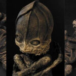 su that ve em be ngoai hanh tinh mang loi nguyen chet choc va noi khiep so suot 23 nam 3