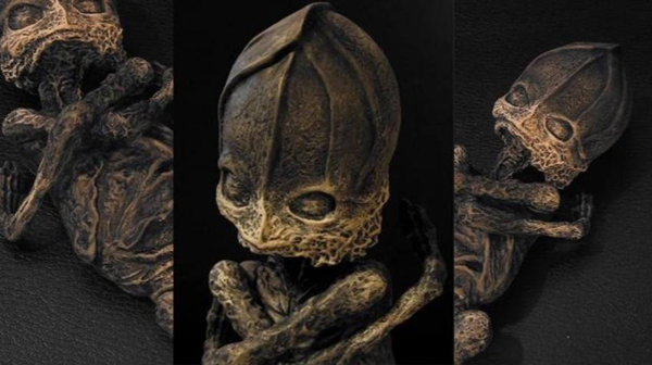 su that ve em be ngoai hanh tinh mang loi nguyen chet choc va noi khiep so suot 23 nam 3