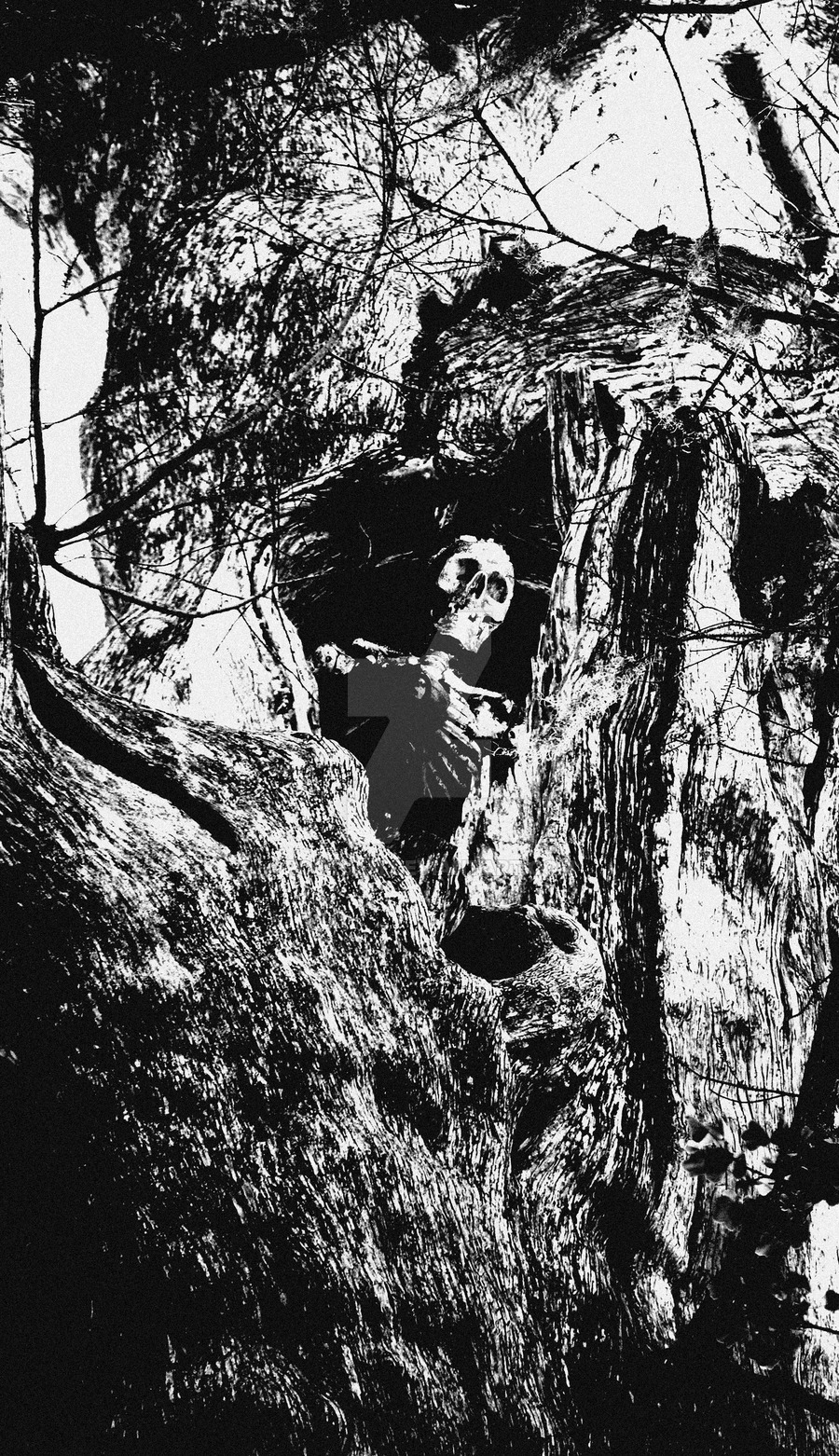 who put bella in the wych elm  by rockgem d2512v3